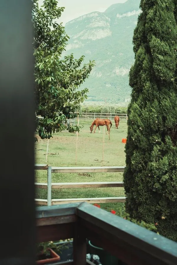 Az. Agr. Tenuta La Casetta Mama di Sopra Apartment